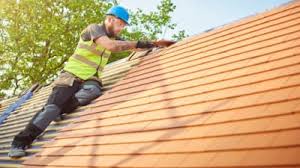 Best Roof Moss and Algae Removal  in Mathews, VA