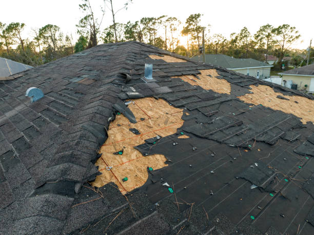 Best Asphalt Shingles Roofing  in Mathews, VA