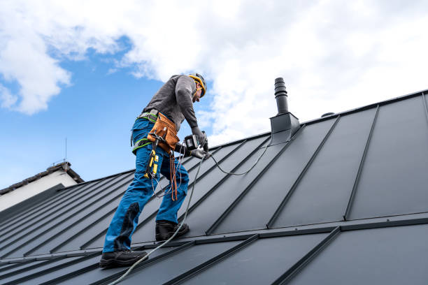 Best Steel Roofing  in Mathews, VA